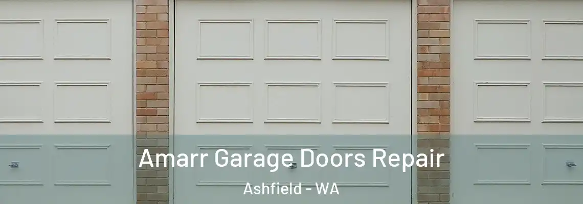 Amarr Garage Doors Repair Ashfield - WA