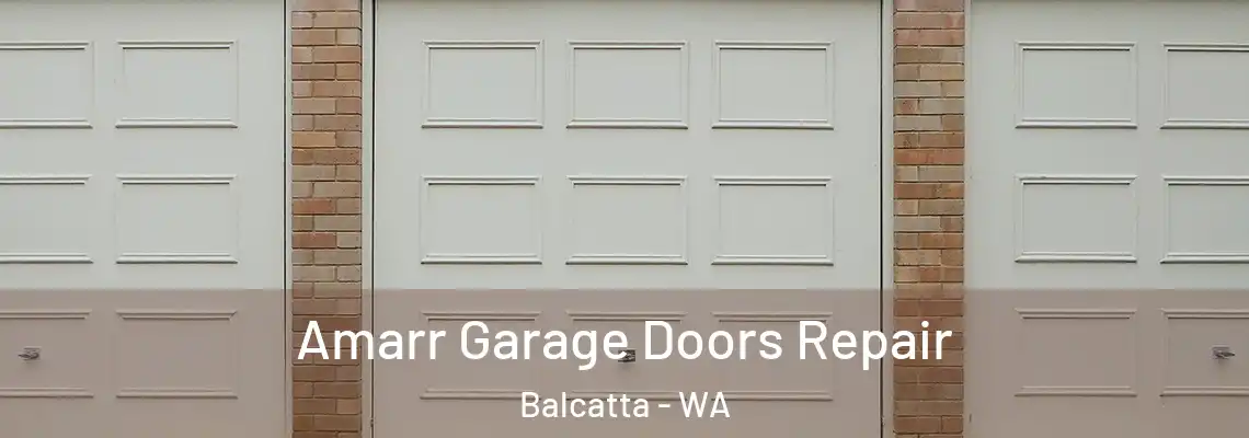 Amarr Garage Doors Repair Balcatta - WA
