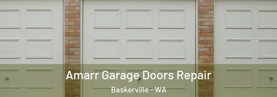Amarr Garage Doors Repair Baskerville - WA