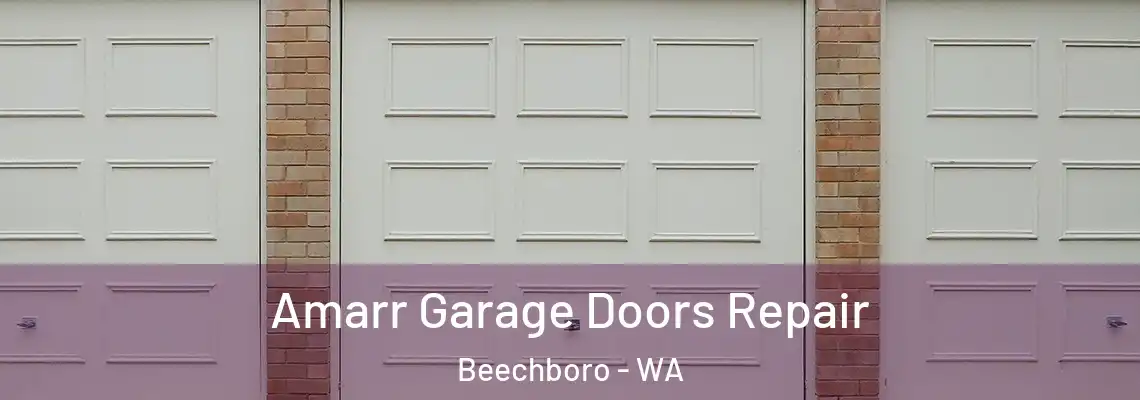 Amarr Garage Doors Repair Beechboro - WA