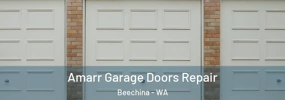 Amarr Garage Doors Repair Beechina - WA