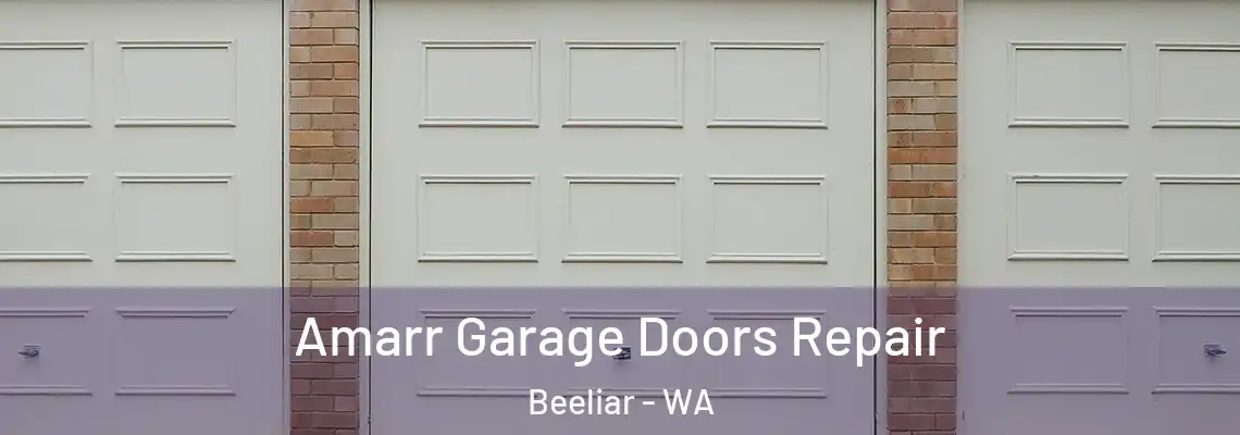 Amarr Garage Doors Repair Beeliar - WA