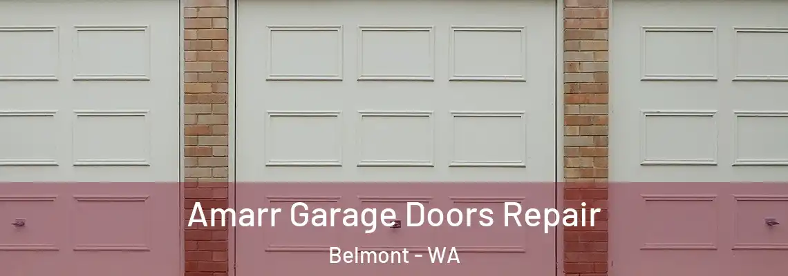 Amarr Garage Doors Repair Belmont - WA