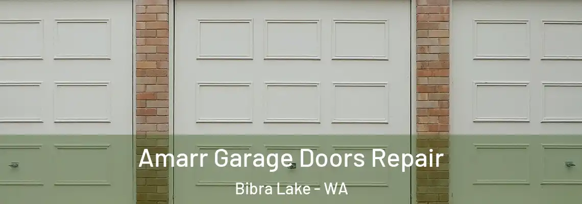 Amarr Garage Doors Repair Bibra Lake - WA