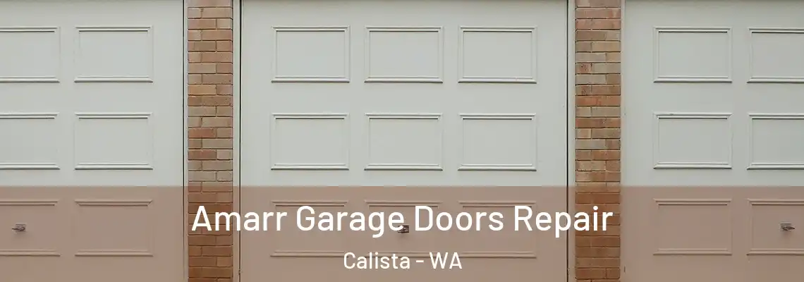 Amarr Garage Doors Repair Calista - WA