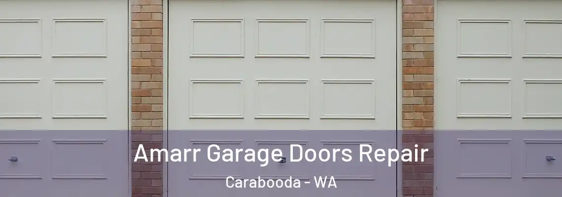 Amarr Garage Doors Repair Carabooda - WA