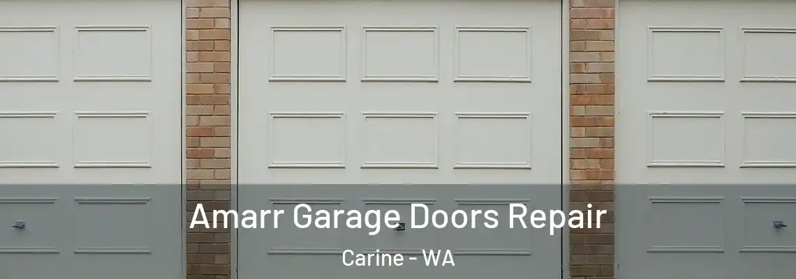Amarr Garage Doors Repair Carine - WA