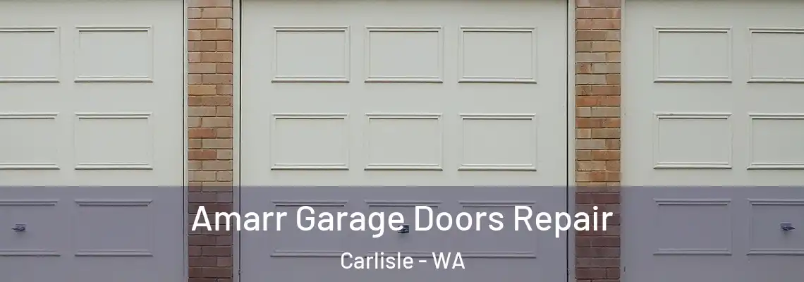 Amarr Garage Doors Repair Carlisle - WA