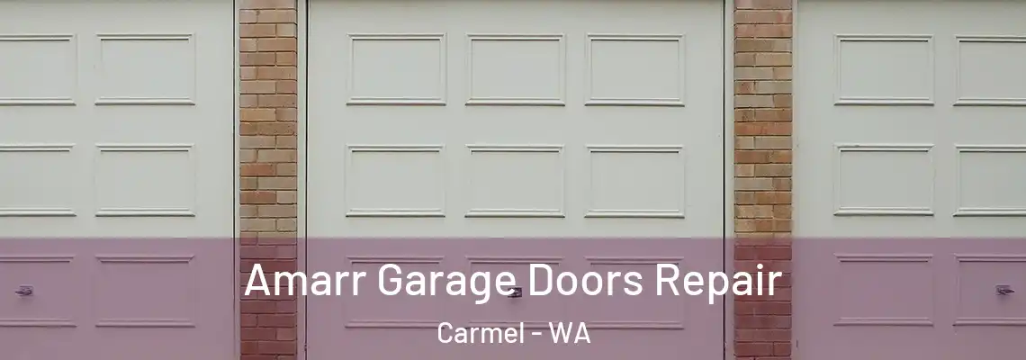 Amarr Garage Doors Repair Carmel - WA