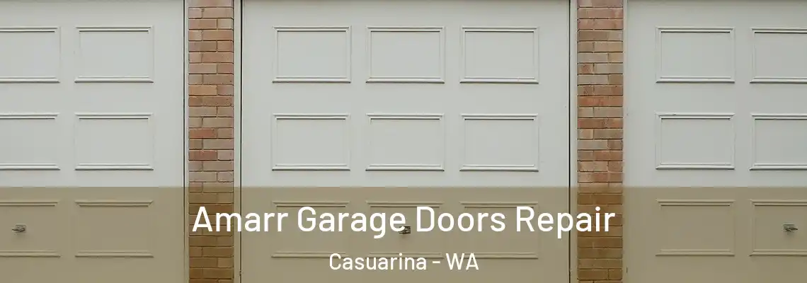 Amarr Garage Doors Repair Casuarina - WA
