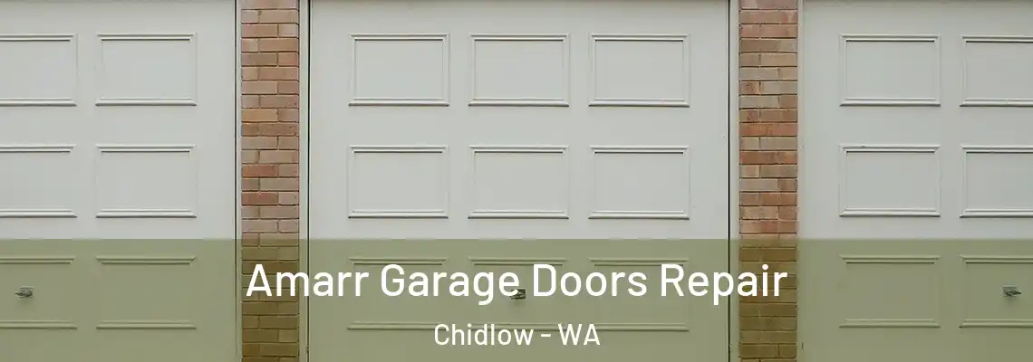 Amarr Garage Doors Repair Chidlow - WA