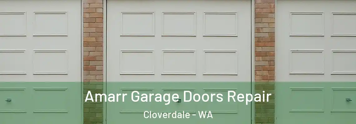 Amarr Garage Doors Repair Cloverdale - WA