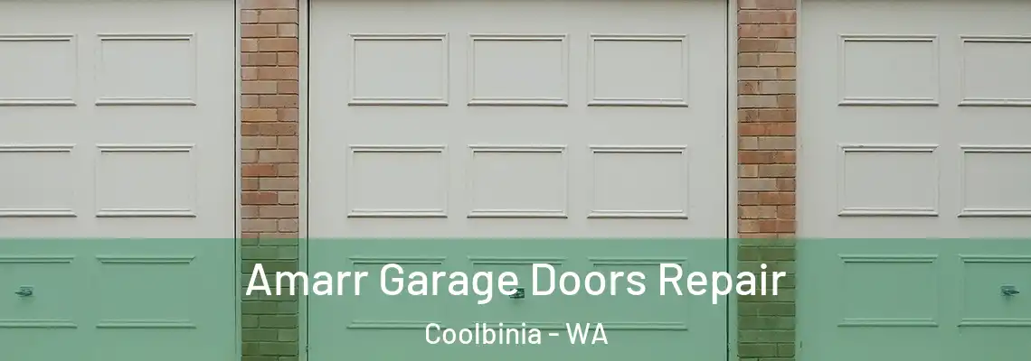 Amarr Garage Doors Repair Coolbinia - WA