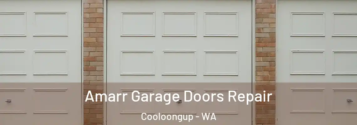 Amarr Garage Doors Repair Cooloongup - WA