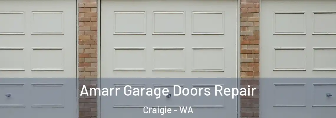 Amarr Garage Doors Repair Craigie - WA
