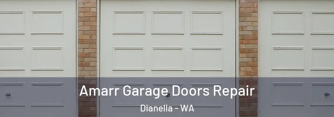 Amarr Garage Doors Repair Dianella - WA