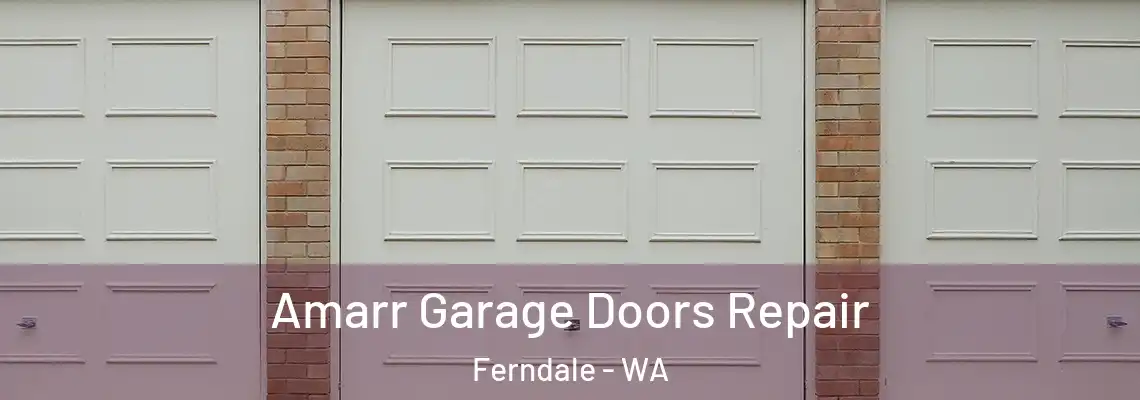 Amarr Garage Doors Repair Ferndale - WA