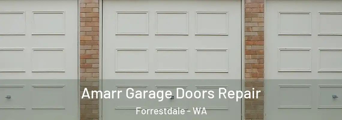 Amarr Garage Doors Repair Forrestdale - WA