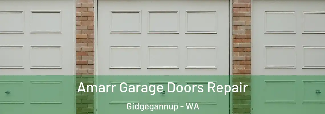 Amarr Garage Doors Repair Gidgegannup - WA