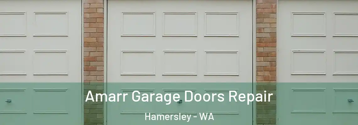 Amarr Garage Doors Repair Hamersley - WA