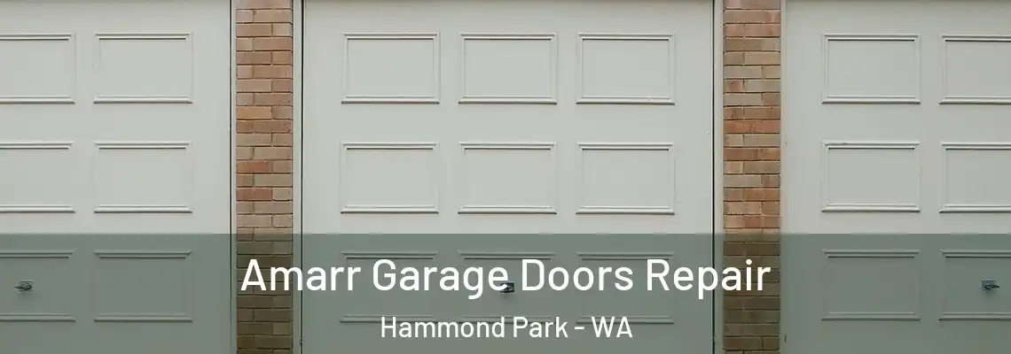 Amarr Garage Doors Repair Hammond Park - WA