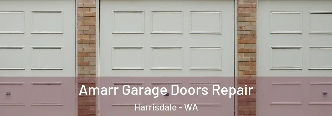 Amarr Garage Doors Repair Harrisdale - WA