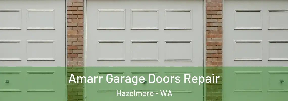 Amarr Garage Doors Repair Hazelmere - WA