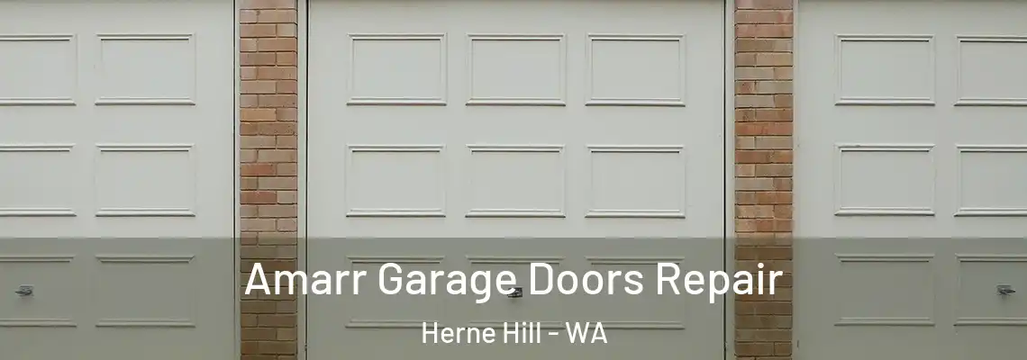 Amarr Garage Doors Repair Herne Hill - WA
