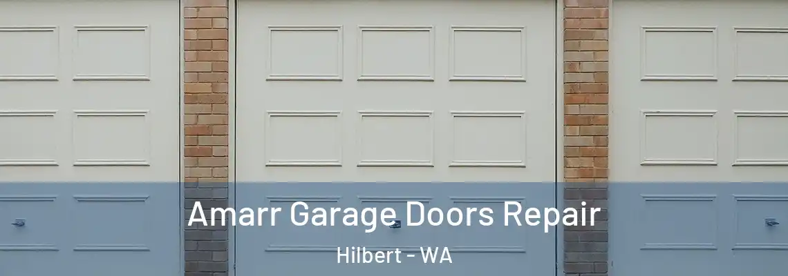 Amarr Garage Doors Repair Hilbert - WA