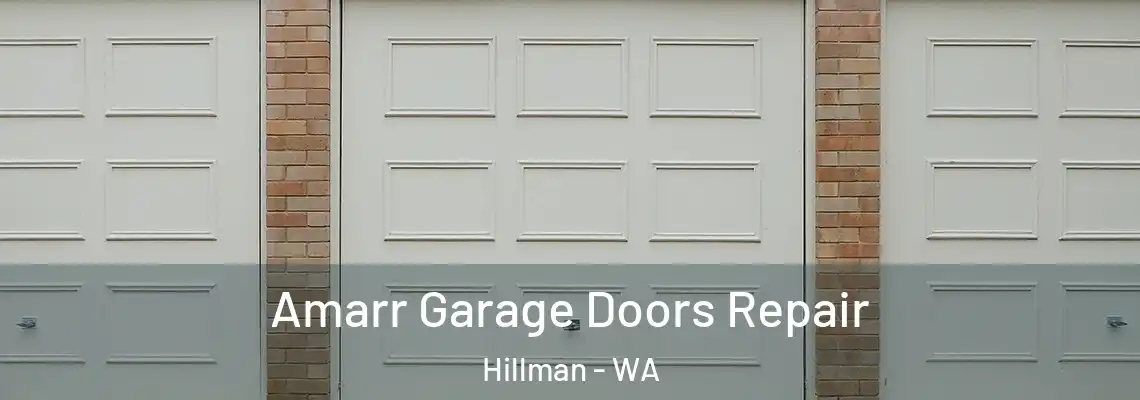  Amarr Garage Doors Repair Hillman - WA