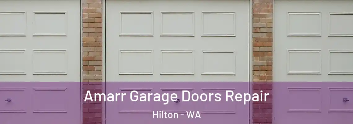 Amarr Garage Doors Repair Hilton - WA