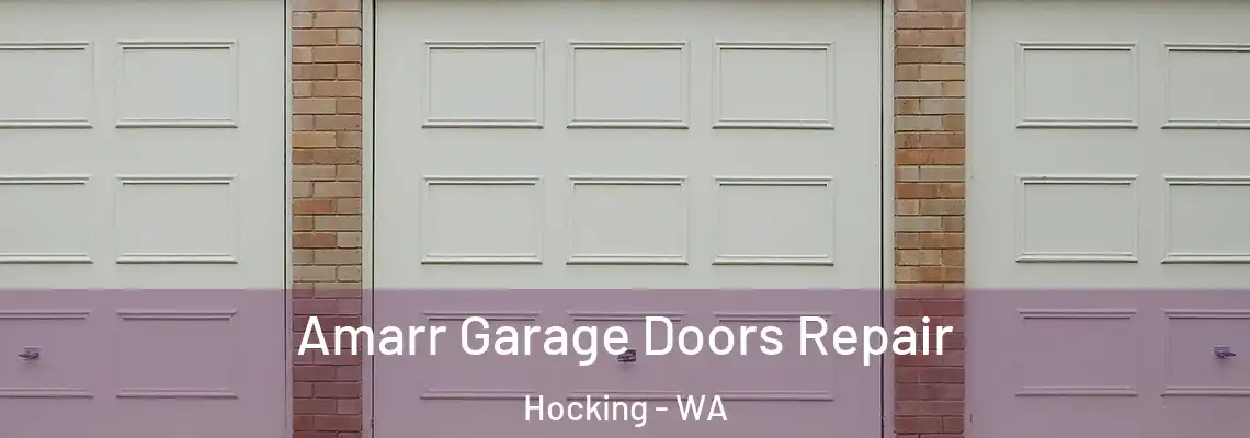 Amarr Garage Doors Repair Hocking - WA