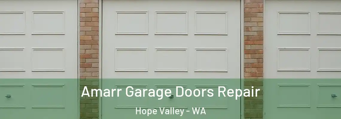 Amarr Garage Doors Repair Hope Valley - WA
