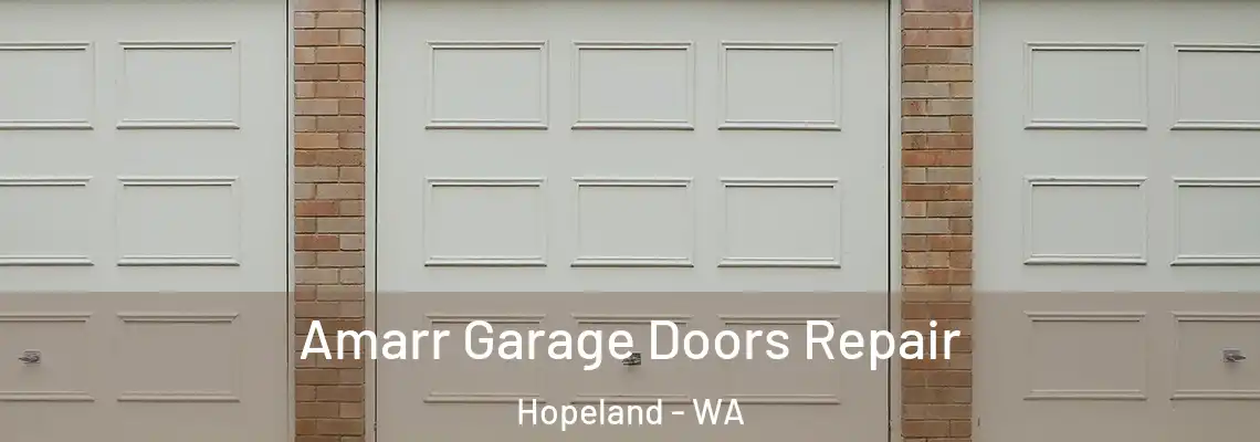 Amarr Garage Doors Repair Hopeland - WA