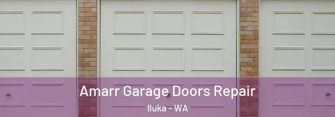 Amarr Garage Doors Repair Iluka - WA