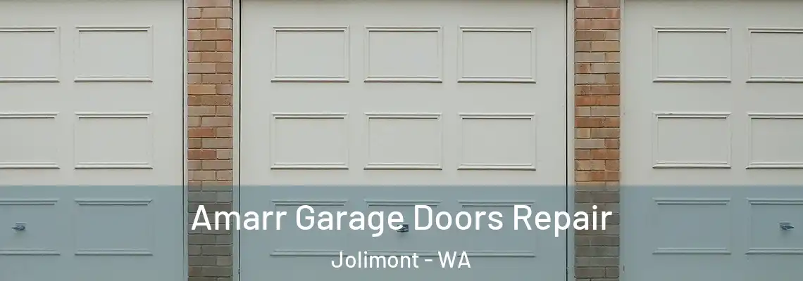 Amarr Garage Doors Repair Jolimont - WA