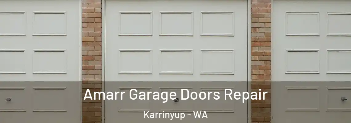 Amarr Garage Doors Repair Karrinyup - WA