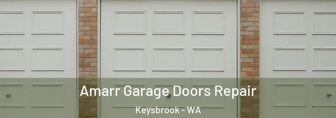 Amarr Garage Doors Repair Keysbrook - WA