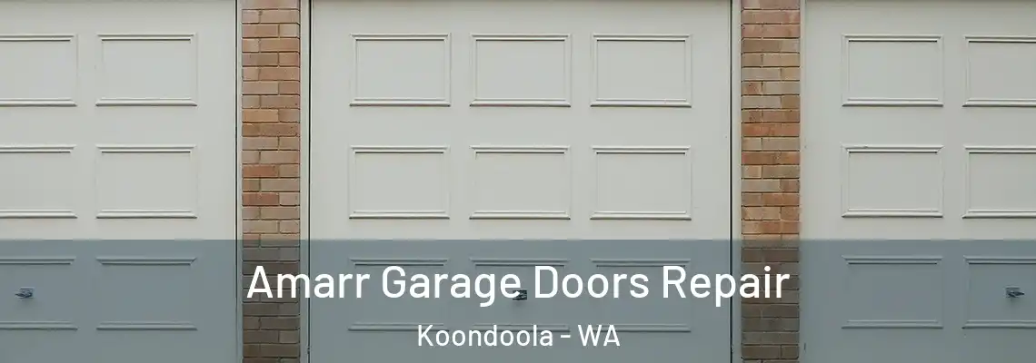 Amarr Garage Doors Repair Koondoola - WA