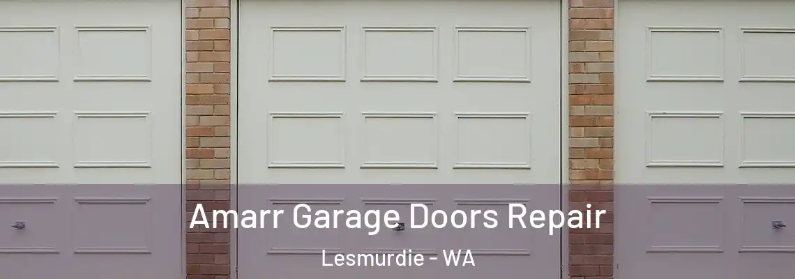 Amarr Garage Doors Repair Lesmurdie - WA
