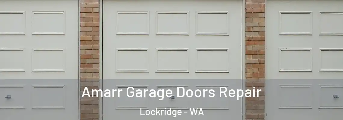 Amarr Garage Doors Repair Lockridge - WA