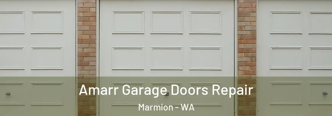 Amarr Garage Doors Repair Marmion - WA