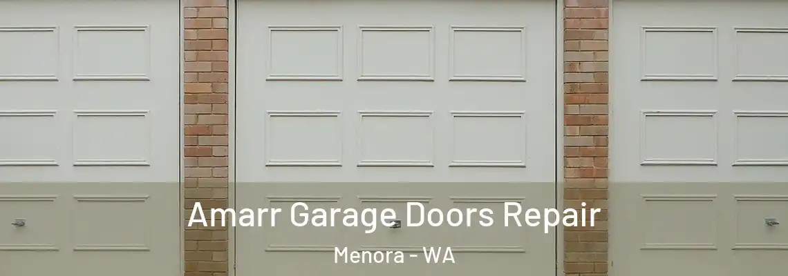 Amarr Garage Doors Repair Menora - WA