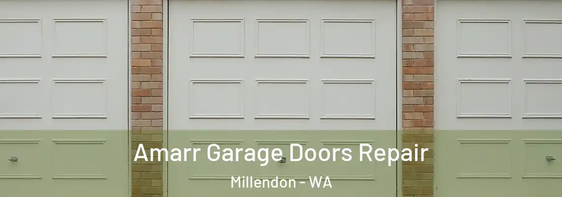 Amarr Garage Doors Repair Millendon - WA
