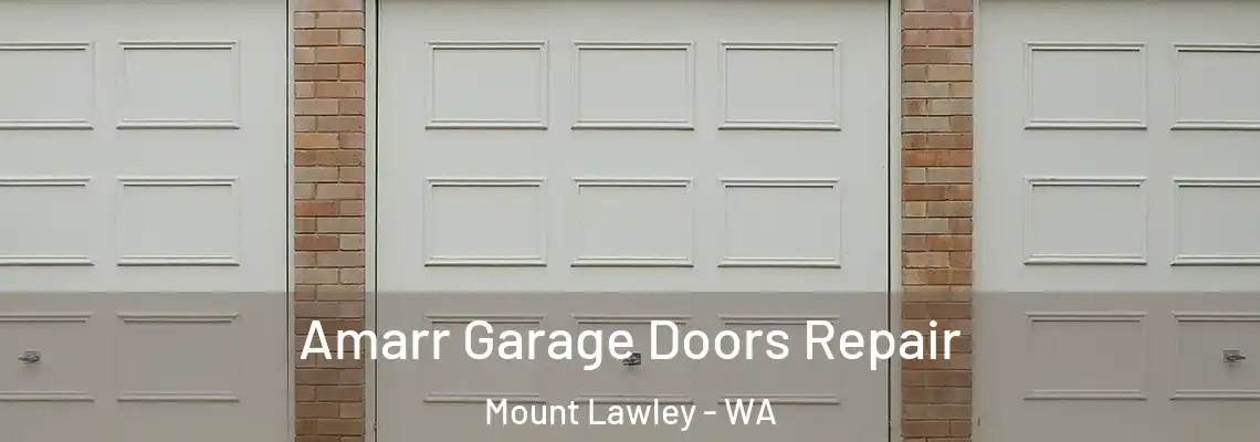 Amarr Garage Doors Repair Mount Lawley - WA