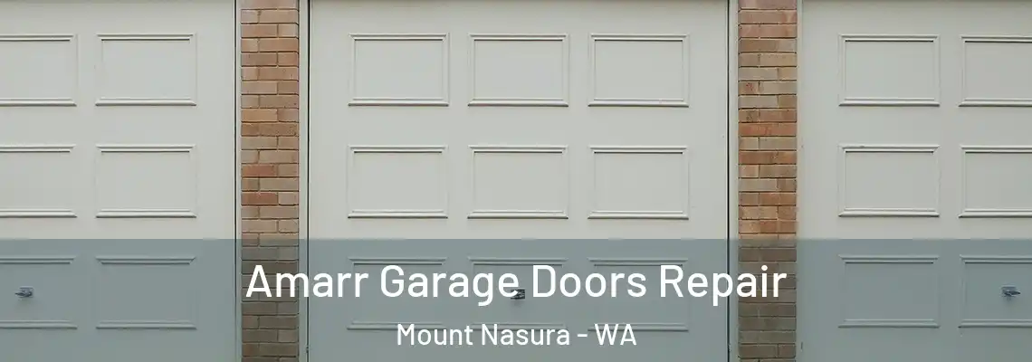 Amarr Garage Doors Repair Mount Nasura - WA