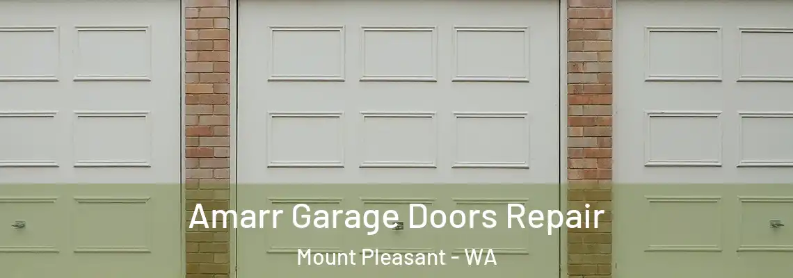  Amarr Garage Doors Repair Mount Pleasant - WA