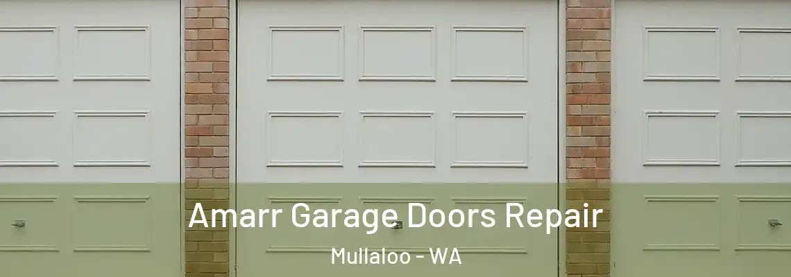 Amarr Garage Doors Repair Mullaloo - WA