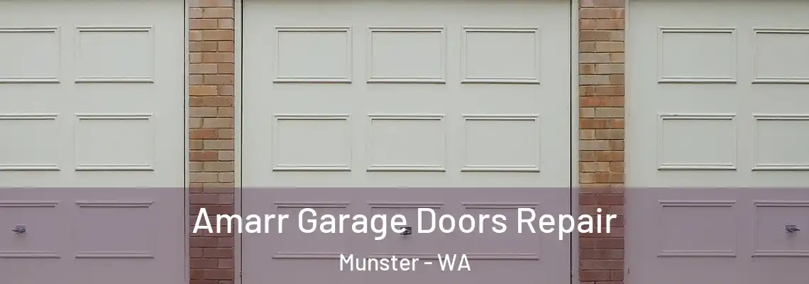 Amarr Garage Doors Repair Munster - WA