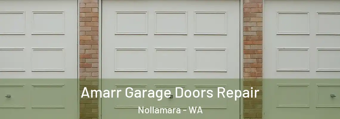Amarr Garage Doors Repair Nollamara - WA